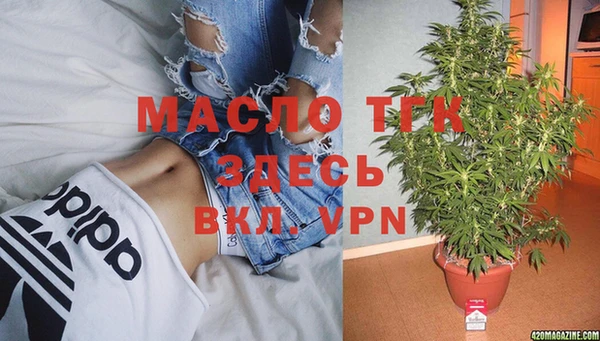СК Горняк