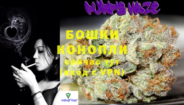 СК Горняк