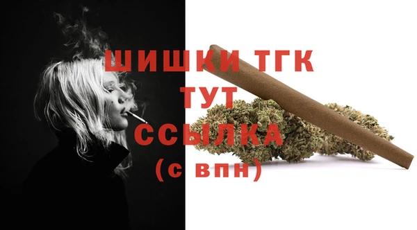 ешки Горнозаводск