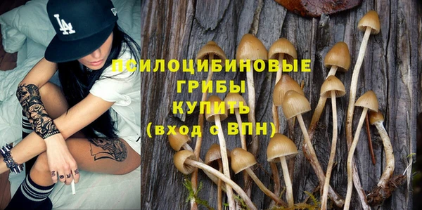 ешки Горнозаводск
