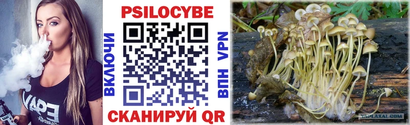 дарнет шоп  Чулым  Псилоцибиновые грибы MAGIC MUSHROOMS 
